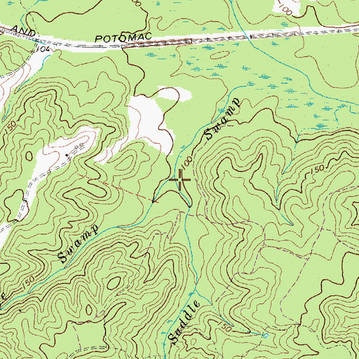 Topographic Map of Rafe Swamp, VA