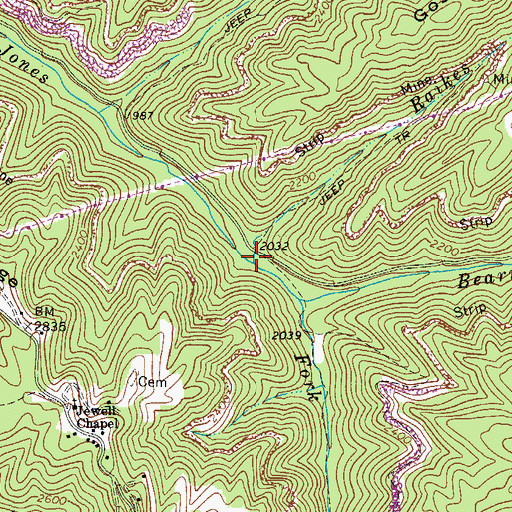Topographic Map of Raikes Branch, VA