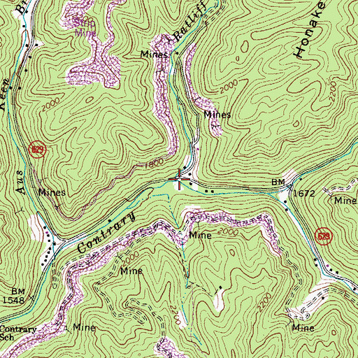 Topographic Map of Ratliff Branch, VA