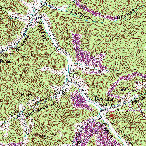 Topographic Map of Rattlesnake Branch, VA