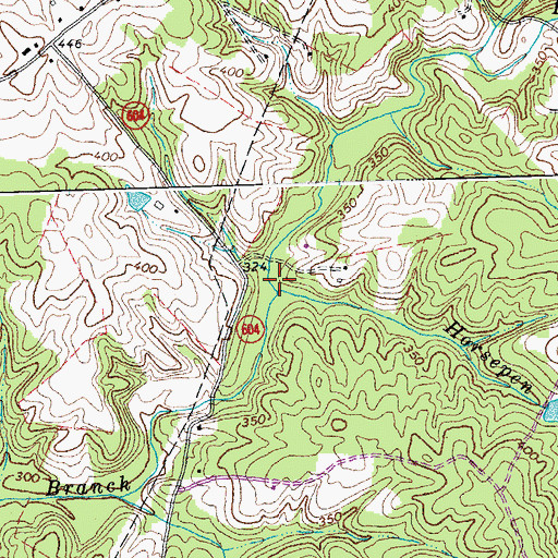 Topographic Map of Rattlesnake Run, VA