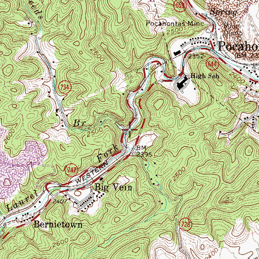 Topographic Map of Reeds Branch, VA