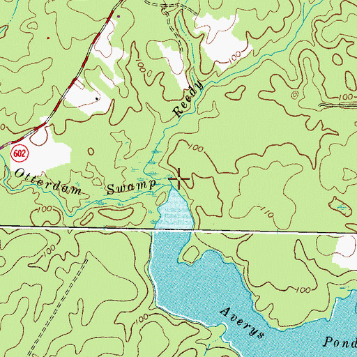 Topographic Map of Reedy Branch, VA