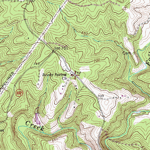 Topographic Map of Reedy Spring Church, VA