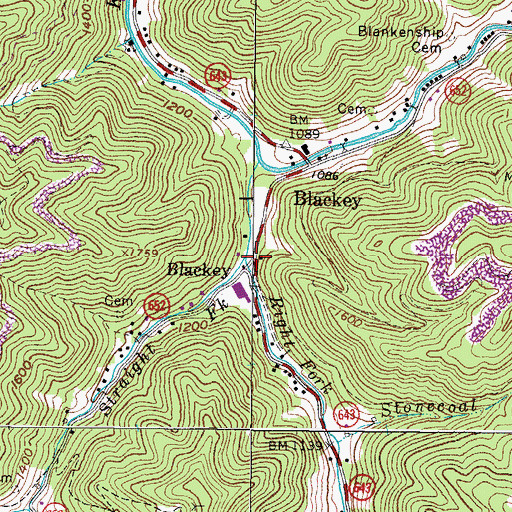 Topographic Map of Right Fork Straight Fork, VA