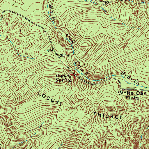 Topographic Map of Rigney Spring, VA