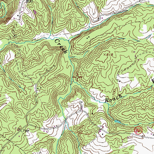 Topographic Map of Roach Branch, VA