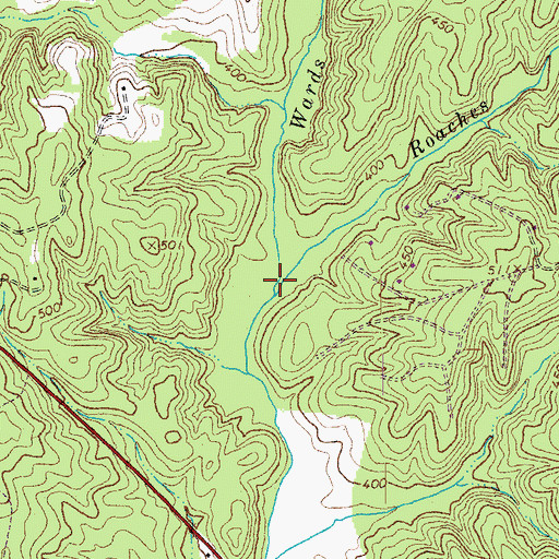 Topographic Map of Roaches Branch, VA