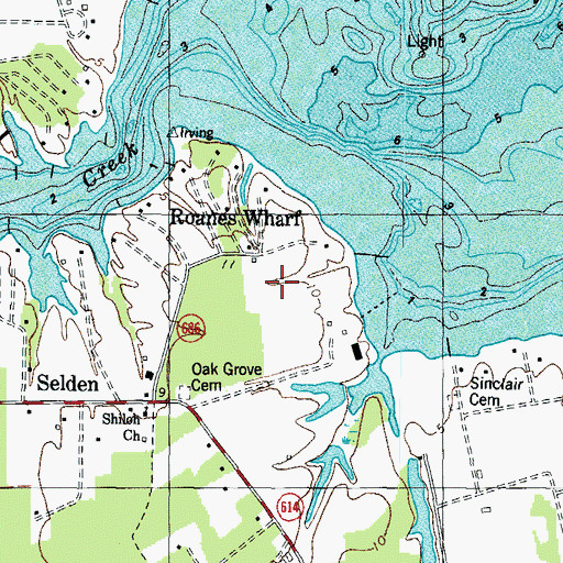 Topographic Map of Roanes Wharf, VA