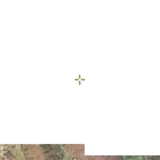 Aerial/Satellite Image of Roaring Branch, VA