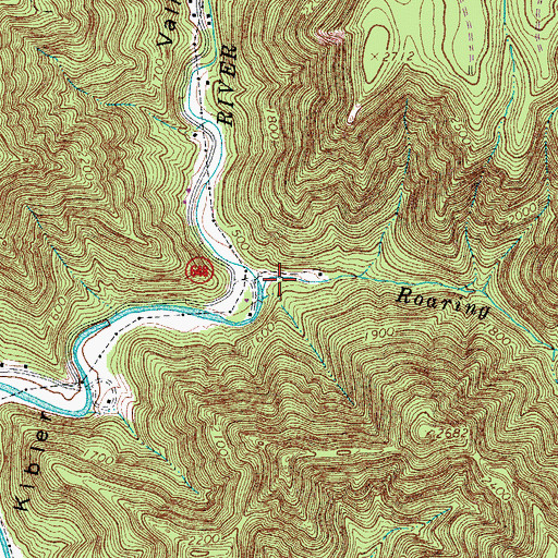 Topographic Map of Roaring Creek, VA