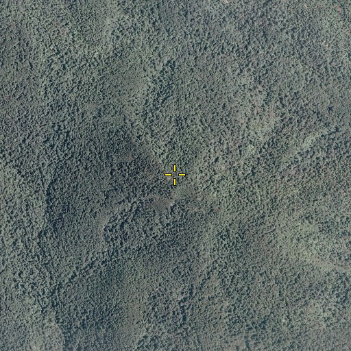 Aerial/Satellite Image of Robertson Mountain, VA