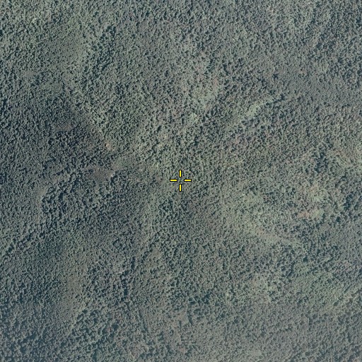 Aerial/Satellite Image of Robertson Mountain Trail, VA