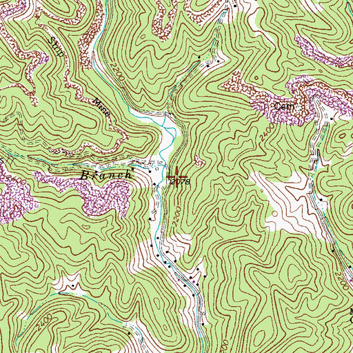 Topographic Map of Rock Lick Branch, VA