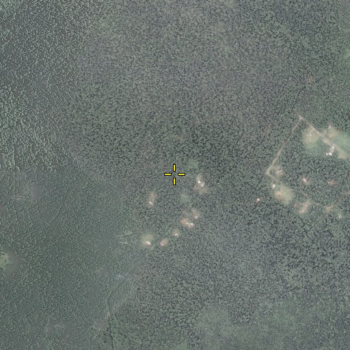 Aerial/Satellite Image of Rock Spring, VA