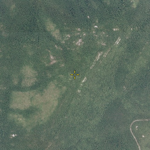 Aerial/Satellite Image of Rocks Mountain, VA