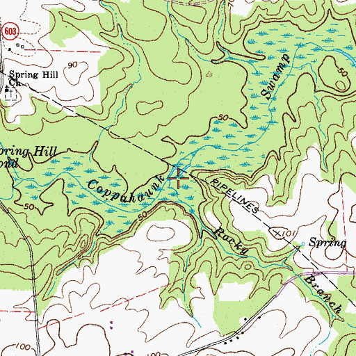Topographic Map of Rocky Branch, VA