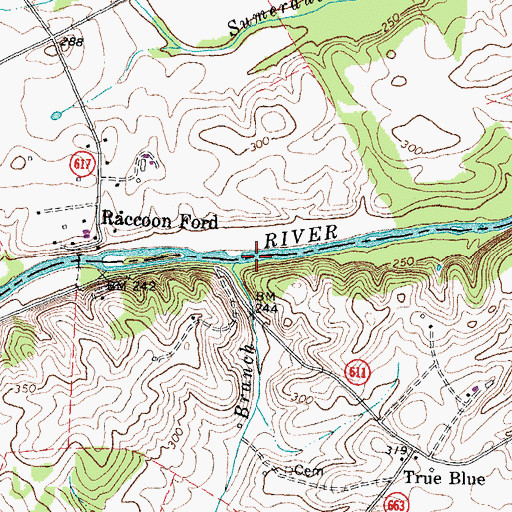 Topographic Map of Rocky Branch, VA