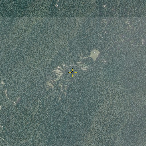 Aerial/Satellite Image of Rod Hollow, VA