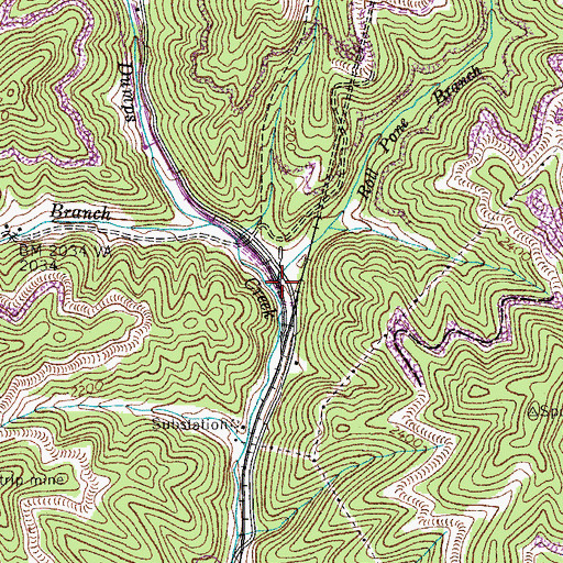 Topographic Map of Roll Pone Branch, VA