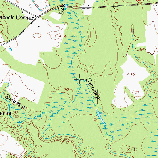 Topographic Map of Round Hill Swamp, VA