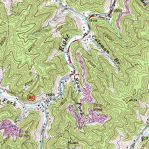 Topographic Map of Rowe Fork, VA