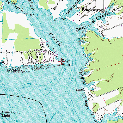 Topographic Map of Roys Point, VA