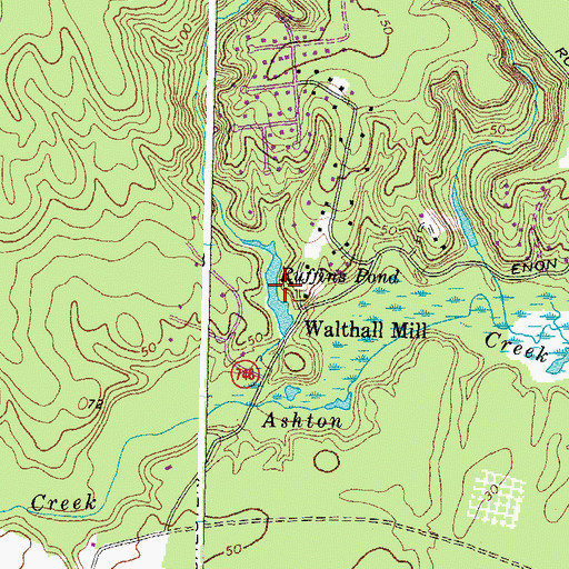 Topographic Map of Ruffins Pond, VA