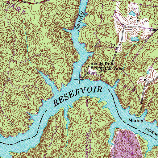 Topographic Map of Sandy Run, VA