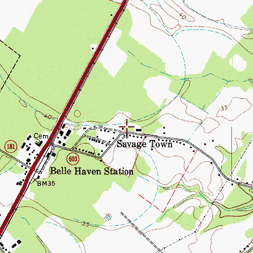 Topographic Map of Savage Town, VA