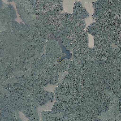 Aerial/Satellite Image of Scates Branch, VA