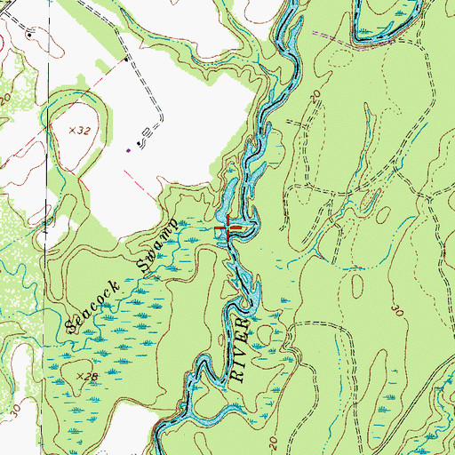 Topographic Map of Seacock Swamp, VA