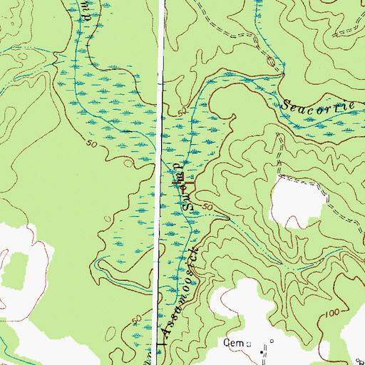 Topographic Map of Seacorrie Swamp, VA