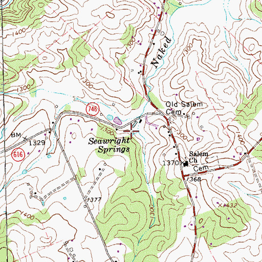 Topographic Map of Seawright Springs, VA