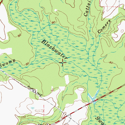 Topographic Map of Second Swamp, VA