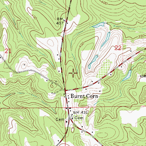 Topographic Map of Burnt Corn Academy (historical), AL