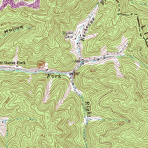 Topographic Map of Right Fork Guess Fork, VA