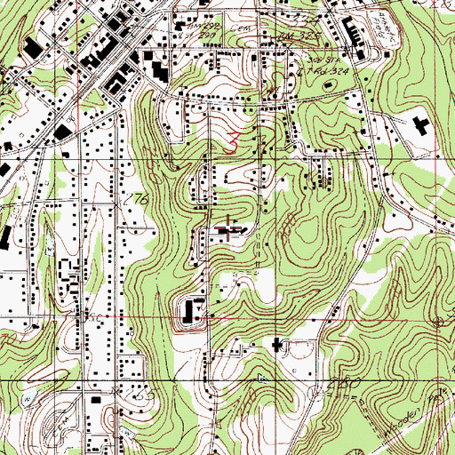 Topographic Map of Southside Elementary School, AL