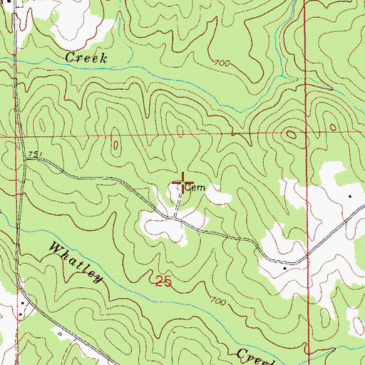 Topographic Map of Higgins Family Cemetery, AL
