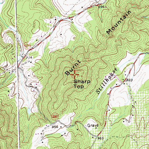 Topographic Map of Sharp Top, VA