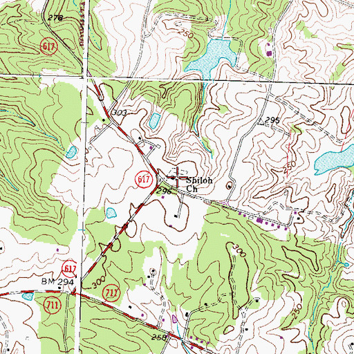 Topographic Map of Shiloh Church, VA