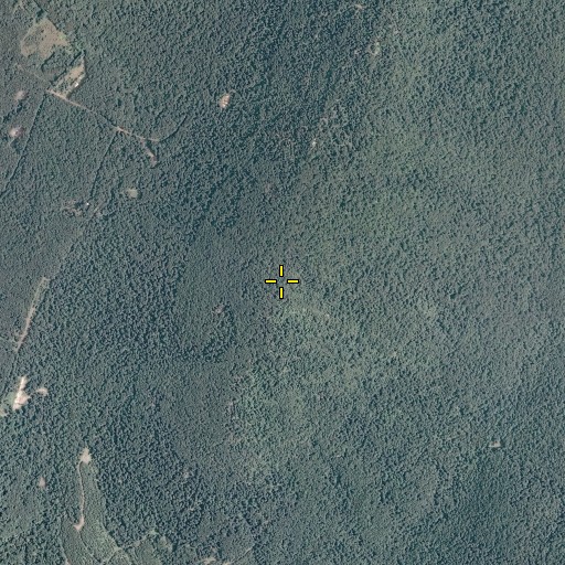 Aerial/Satellite Image of Shockeys Knob, VA