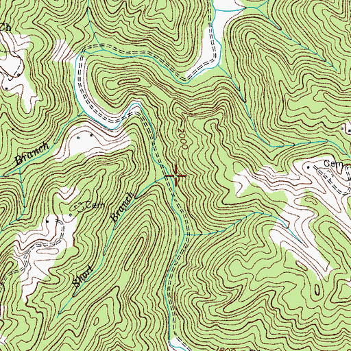 Topographic Map of Short Branch, VA
