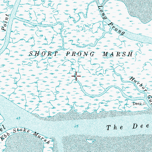 Topographic Map of Short Prong Marsh, VA