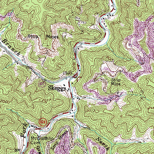 Topographic Map of Skeggs Branch, VA