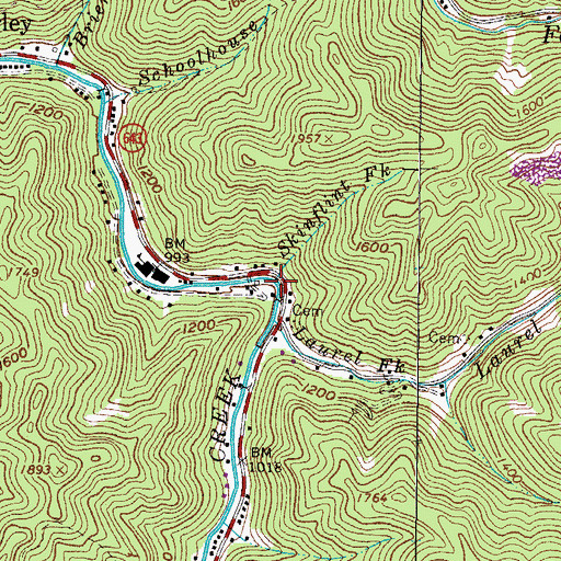 Topographic Map of Skinflint Fork, VA