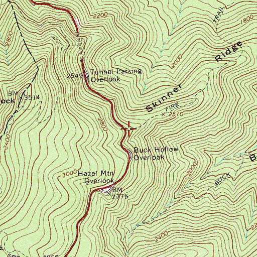 Topographic Map of Skinner Ridge, VA