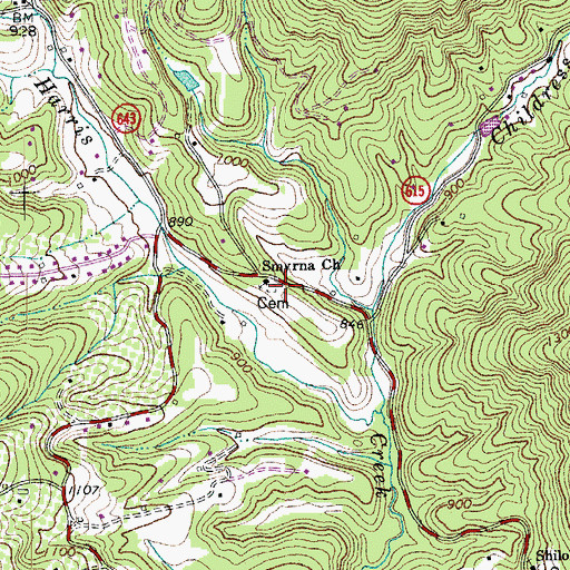 Topographic Map of Smyrna Church, VA