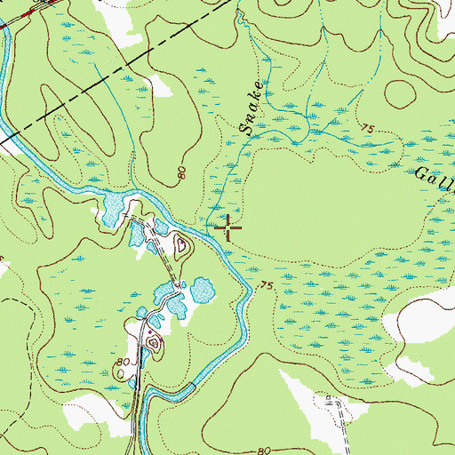 Topographic Map of Snake Branch, VA