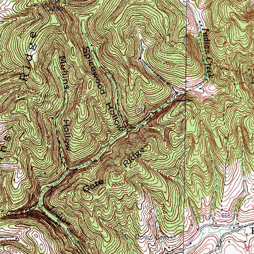 Topographic Map of Spicewood Hollow, VA